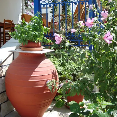 Ξενοδοχείο βάκχος *